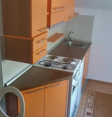 Vlasinski Vrtovi Apartment