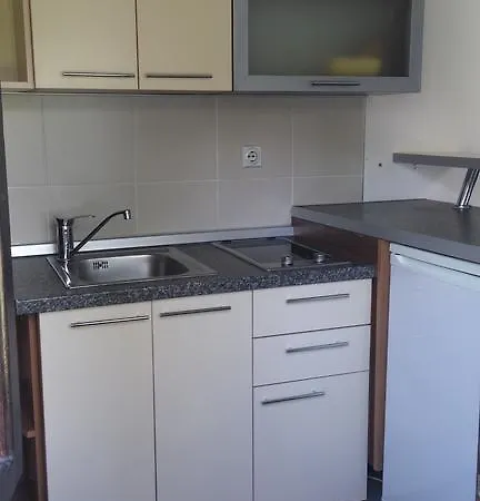 Vlasinski Vrtovi Apartment *