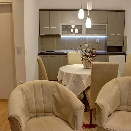 Apartment Vlasinski Vrtovi Vlasina Rid