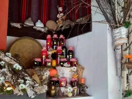 Appartement Vlasinski Vrtovi Vlasina Rid