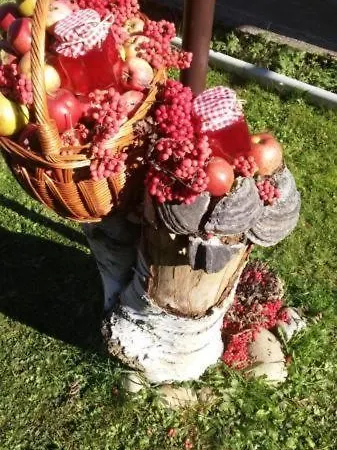 Vlasinski Vrtovi Appartement