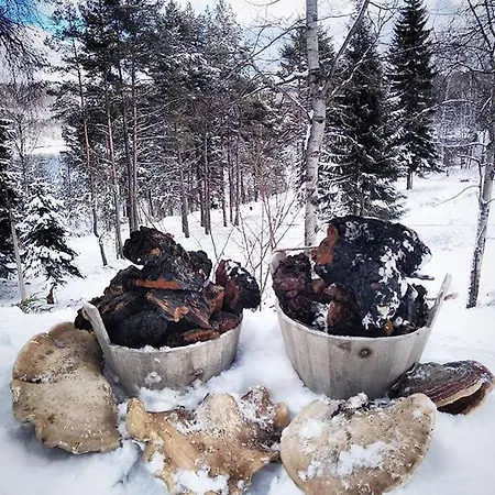 Vlasinski Vrtovi Appartement Vlasina Rid