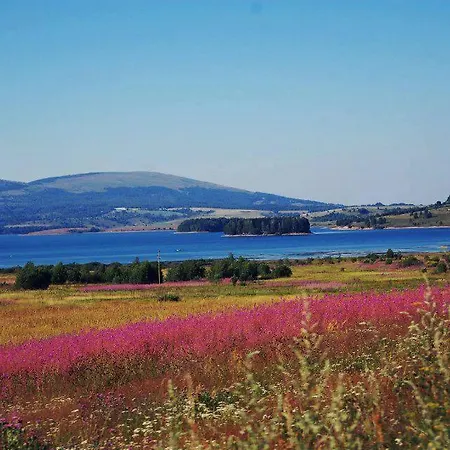 Vlasinski Vrtovi * Vlasina Rid